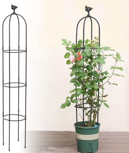6 Fuß hohes Gartenspalier für Kletterpflanzen Kalolary Garden Tower Obelisk Rankgitter Rostfreier Metall Topfpflanze Kletterhilfe für Indoor Outdoor Blumen Gemüse Obst Reben Support (Schwarz)