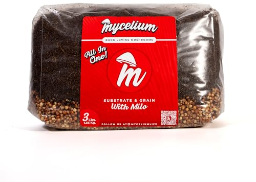 Mycelium 's Superior Dung-Loving - Sustrato de hongos y mezcla de granos de milo, 3 libras todo en uno, fórmula de coco, vermiculita y yeso, preesterilizada y lista para un fácil cultivo en el hogar