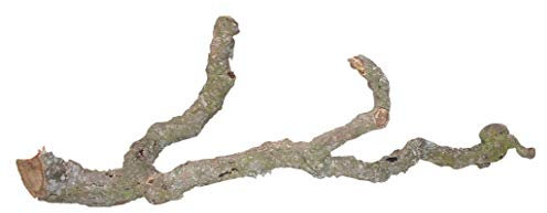 Lucky Reptile 64134 Tronchos korkast 30–40 cm, 900 g