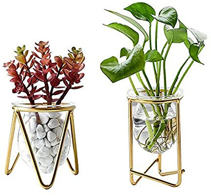 2 Stücke Hydrokultur Pflanzen Vase, Vermehrungsstation, Reagenzglas - 2 Spezifikationen, Für Grüne Pflanzen Auf Desktop