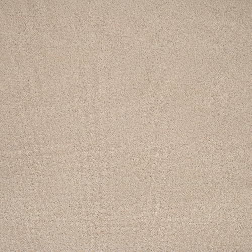 247Floors Flecked Twist Pile Carpet Roll, Hardwearing Felt Backing (5m x 4m, Sandy Beige)
