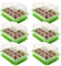 Schramm® 6 Stück Anzucht Set Gewächshaus Anzucht Schale Töpfe Zimmergewächshaus 20,5 x 15,5 x 11 cm für 72 Anzuchttöpfe Anzuchtset Mini-Gewächshaus