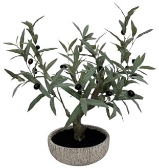 LUNIER Faux Olive Tree (Artificial) in Rustic Tuscan Ceramic Pot | Small Decorative Artificial Tree for Home, Bedroom & Coffee Table | 50cm Fake Tree-Set | Realistic Indoor Trees, Adjustable Leaves