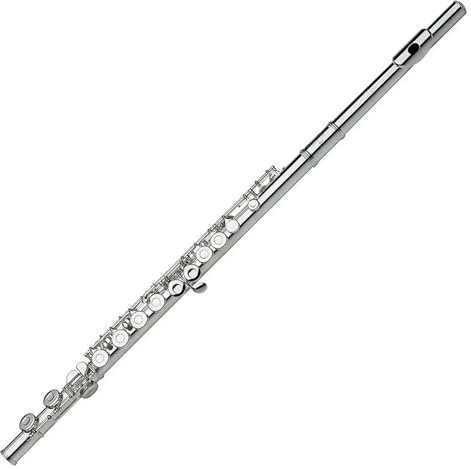 tvärflöjt instrument Flöjtinstrument nybörjare tränar flöjt