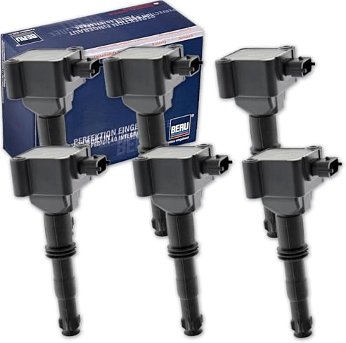 BandelOne enthält 6x Beru Zündspule für 911 (996 997) Boxster (986 987) Cayman (987)