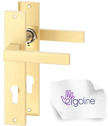 ERGO line CUBE guarnizione quadrata per porte, oro opaco, maniglia con piastra di copertura a cilindro di chiusura set di maniglie con piastra di copertura lunga, maniglia, Ottone spazzolato