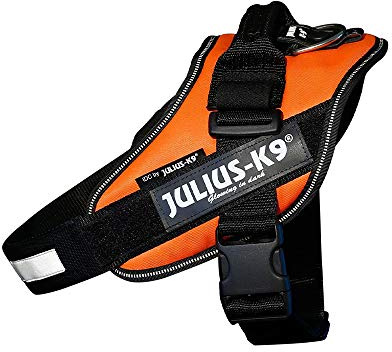 Julius-K9, 16IDC-for-1, IDC Powerharness, Dog Harness, Size: 1, UV Orange