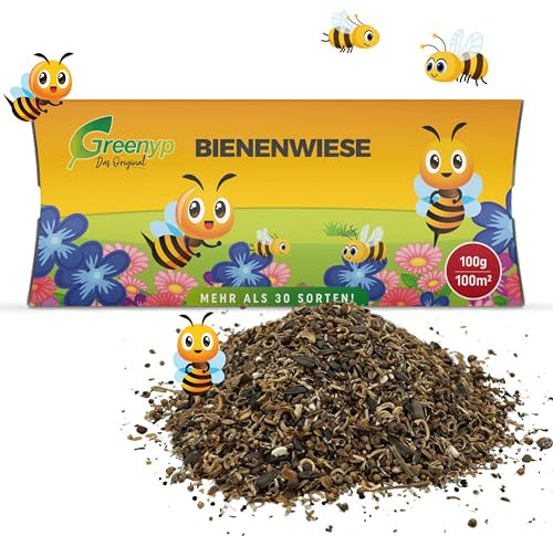 Greenyp Mélange de fleurs de prairie d'abeille I Pour jusqu'à 100 m² I 100 g I Graines de fleurs – Aimant d'abeilles & bourdon I Graines de qualité supérieure pour saule floral coloré I Mélange de