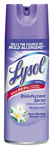 Lysol Disinfectant Spray, Early Morning Breeze, 12.5 oz