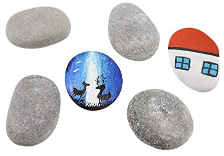 LongZYU Steine Zum Bemalen Dekorieren 6 Stück Natur Dekosteine 60-70 mm Glatt Handverlesen grosse Strand Kiesel Steine bunt Diy Rocks Dekosteine Für Bunte Malerei Aquarien Haus Gartendekoration