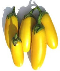 10 semi di melanzane gialle
