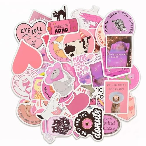 SOLVIO 110Pcs Pink Funny Stickers for Adults and Girls, Cute Aesthetic Waterproof Vinyl Decals for Laptop, Water Bottle, Scrapbook, Skateboard and Luggage