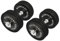 Guss Kurzhantel-Set 65Kg (2 x Kurzhantelstange 35cm und 12x5Kg Hantelscheiben) Hantelset Hanteln Gewichte