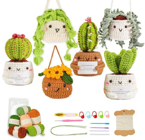 dancepandas Häkelnadel Set, Häkelset für Anfänger Häkeln für Anfänger Blume Kakteen Hängende Topfpflanze Häkel-Starterset Fleshiness mit Video Tutorial und Anleitung für Mütter,Häkelliebhaber