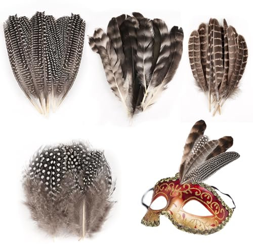 50 Stück 4 Stil Federn zum Basteln, Feder Truthahnfedern, Federn Groß, Schwarze Federn Basteln, Federn Weiss, Bastelfedern, Federn Deko für DIY Ostern Weihnachten Maske Traumfänger