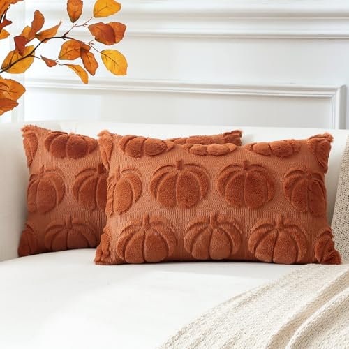 Artscope Uppsättning av 2 ull pumpa örngott mjuk plysch kort ullsammet dekorativa örngott höst örngott soffkudde höstdekoration för soffa sovrum halloween karamell orange, 30 x 50 cm