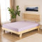 GD HOME Renforce Baumwolle Spannbettlaken/Spannbetttuch aus 100% Baumwolle/Weiches und Atmungsaktives Leintuch 160 x 200 x 30 cm/Jersey Bettlaken/Lila