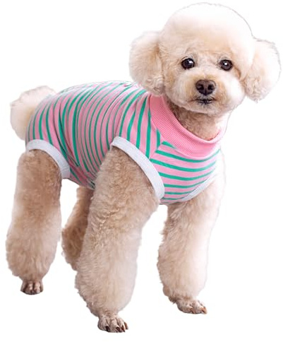 Wisebom Combinaison de Récupération pour Chien, Combinaison Rayée Post-Chirurgie Chiens Mâles et Femelles Alternative Collier Électronique à Cône Body pour Chiens (Rayures Roses Vertes, XS)