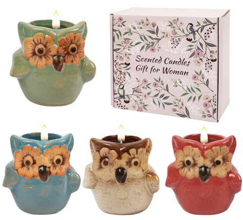 ONBAGLST Eulen Duftkerzen-Kerze Geschenkset zur Stressbewältigung, 4-Eule Kerzen deko Set für Frauen und Männer, Weihnachtskerzen Geburtstagskerzen-Geschenke für Frauen (Eule)