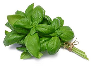 Semi biologici di Basilico Italiano Classico