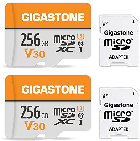 GIGASTONE Micro-SD-Karte 256GB MicoSDXC Speicherkarte 2er-Pack, bis zu 100 MB/s, Überwachungskamera, Sicherheitskamera, Action-Kamera, Drohne, 4K Video UHS-I V30 Klasse 10