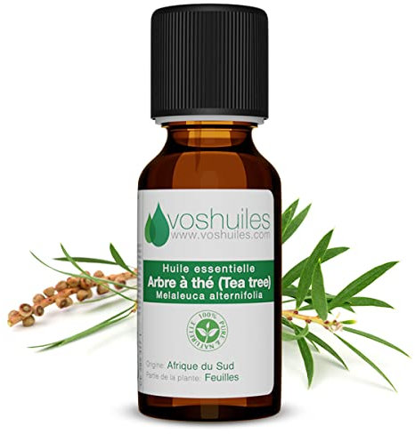 Voshuiles - Huile Essentielle Arbre à Thé 10ml - Parfum Légèrement Piquant, Citronné, Boisé et Terreux - 100% Pure et Naturelle - HEBBD - Fabriqué en France