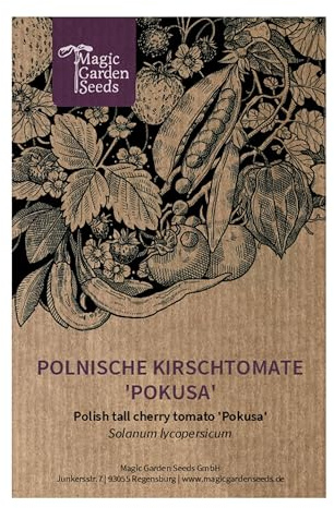 Rik polsk körsbärstomat 'Pokusa' (Solanum lycopersicum) 10 frön