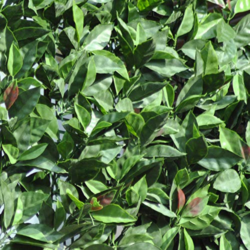 Tenax Divy 3D Plus Photinia 1,00x 3m Vert/Rouge, Haie Artificielle en Feuilles de Photinie, Brise-Vue Balcons et Jardins