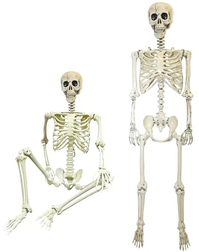Halloween Decoration Life Size Poseable Skeleton 165cm – Realistic Human Skeleton Prop with Movable Joints -Haunted House Graveyard Scene Halloween Pirate Horror Themed Parties