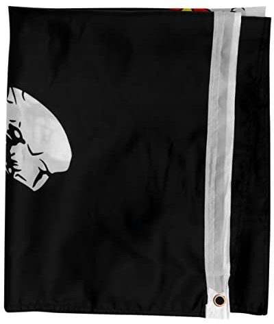 ORFOFE Drapeau De Pirate Halloween Décoration Festive Pour Fête Thématique De Pirate Et Halloween