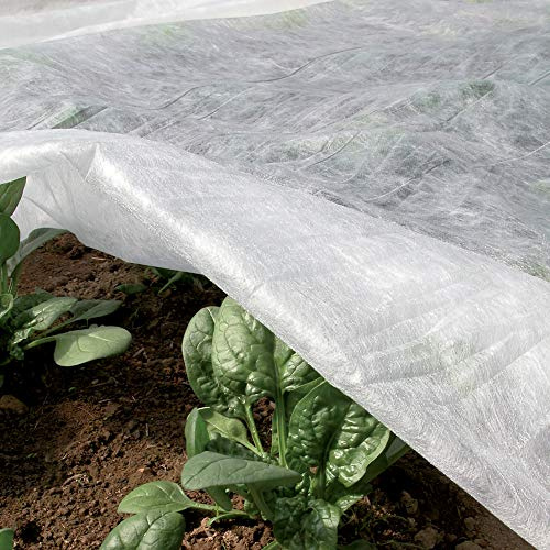 Tenax Ortoclima Plus 2,00x500 m Blanco, Velo Protector Antihielo Invernal para Plantas y Cultivos, de TNT Tejido no Tejido Transpirable 30 g/m², Protege Plantas y Hortalizas