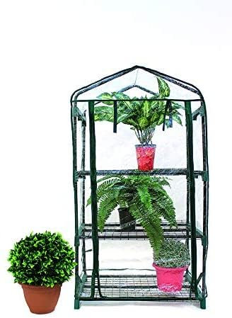 NG NICCOLAI SERRA 3 RIPIANI A CASETTA 49X69X125 CM