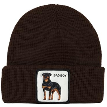 Goorin Bros. Baseballkappe für Herren, braun, One size