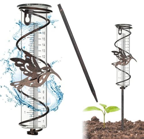 OLACD Compteur de pluie de jardin décoratif : Colibri Tube en verre Pluviomètre pour cour