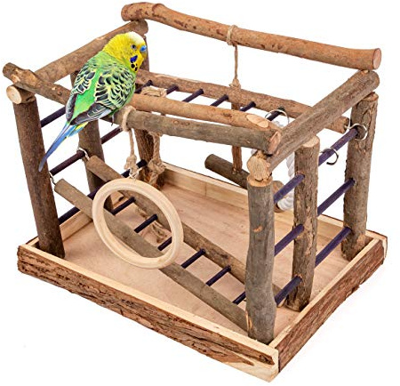 Niteangel Natural Living Playground for Birds, Bird Activity Center