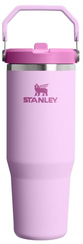 STANLEY IceFlow 2.0 Flip Straw Tumbler with Handle 30 oz | Twist On Lid and Flip Up Straw | Leakproof Water Bottle | Insulated Stainless Steel | BPA-Free | Soft Orchid