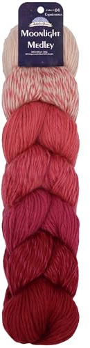 JubileeGarn Månsken Medley Garn - Ombre DK Vikt Merinoull/Akryl - 200 g/Hank - Stenbocken - 1 Skein
