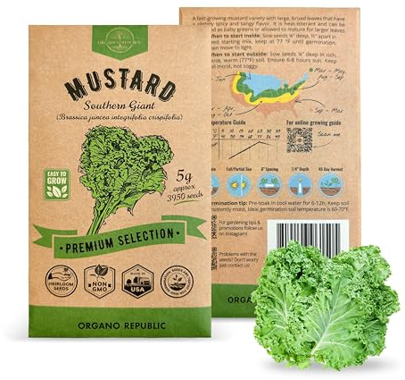 Organo Republic Mustard Southern Giant Seeds Pack 5 G - Over 3,950 Non-GMO Heirloom Mustard Seeds for Planting Greens in Individual Seed Packet, Greens Seeds for Planting Home Garden Indoor & Outdoor