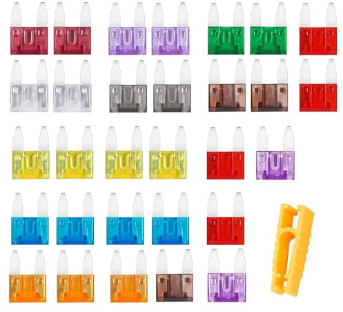 Kfz Sicherungen Set, 30 Stück Auto Sicherungen Standard und Mini Autosicherungen Set Gemischt 2A 3A 5A 7.5A 10A 15A 20A 25A 30A 35A 40A Flachsicherungen mit 1 Sicherungszieher für PKW Wohnmobil LKW