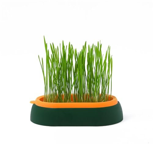 Plateau de germination hydroponique Plateau de germination de semis de haricots Plateau de culture d'herbe à chat Pot de plantation sans sol for le jardinage intérieur Plateau de germination Conteneur