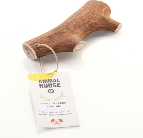 Animal House Corna di Renna per Cani, Masticativo Naturale al 100%, Rafforza Igiene Orale, Resistenti e Duraturi, Disponibili in tutte le taglie (XL)