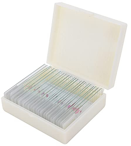Jeffergarden 25 Portaobjetos de Animales para Microscopio, Material de Vidrio, Herramienta Educativa para Estudiantes de Biología con Muestras Diversas