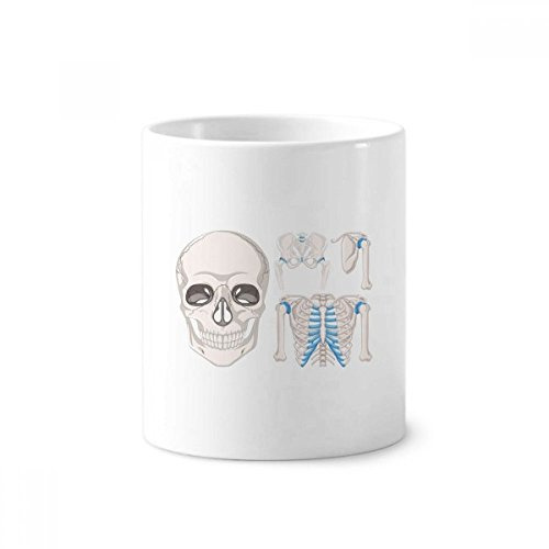 Human Skeleton Illustrations Skull Ribs Toothbrush Pen Holder Mug Ceramic Stand Pencil Cup