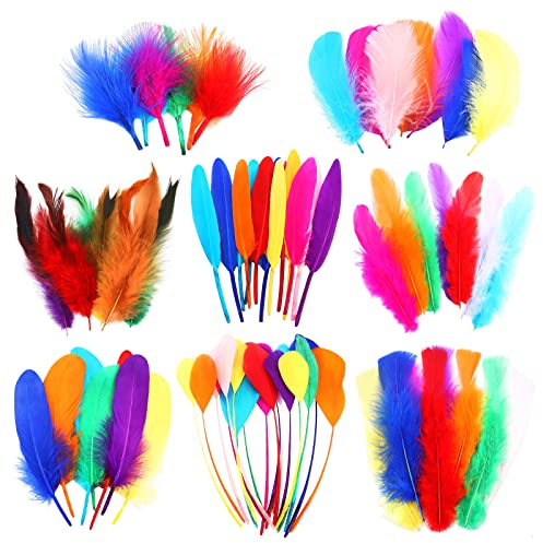 HaiMay 400 Pieces Colorful Feathers Bulk 8 Style Mixed Natural Feathers for Craft Wedding Home Party Decorations Dream Catcher Supplies and DIY Crafts, 3.5-8 Inches Colorful Craft Feather
