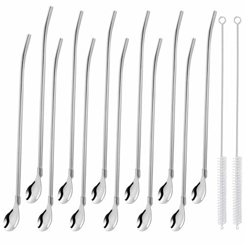Lot de 12 cuillères à paille, longues, en acier inoxydable, avec 2 brosses de nettoyage, pour smoothies et boissons