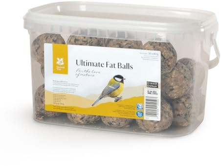 National Trust Fat Balls for Wild Birds – Suet Balls – No Net, Protein Rich All-Weather Feed – 80g Each