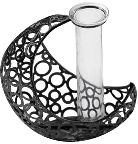 BESTonZON Vase pour Fleurs avec Cadre en Forme De Croissant Et Tube Transparent Vase Hydroponique pour Plantes avec Structure Métal