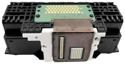 REwNXA Curl Error: The Requested URL Returned Error: 500 Internal Server Error