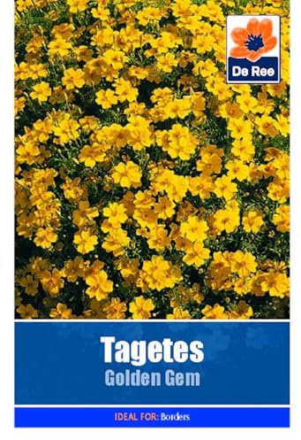 Tagetes Golden Gem - 160 Seeds Flower Plant Bedding Borders Containers Pots Grow Your Own Garden Plant Seed
