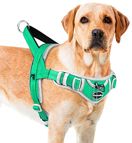 ADVENTUREMORE Dog Harness for Large Dogs No Pull, Sport Dog Halter Harness Reflective Breathable Dog Vest Escape Proof Dog Harness with Easy Control Front Clip Handle for Training Walking L Green
